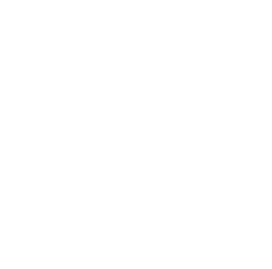Trimon Logo